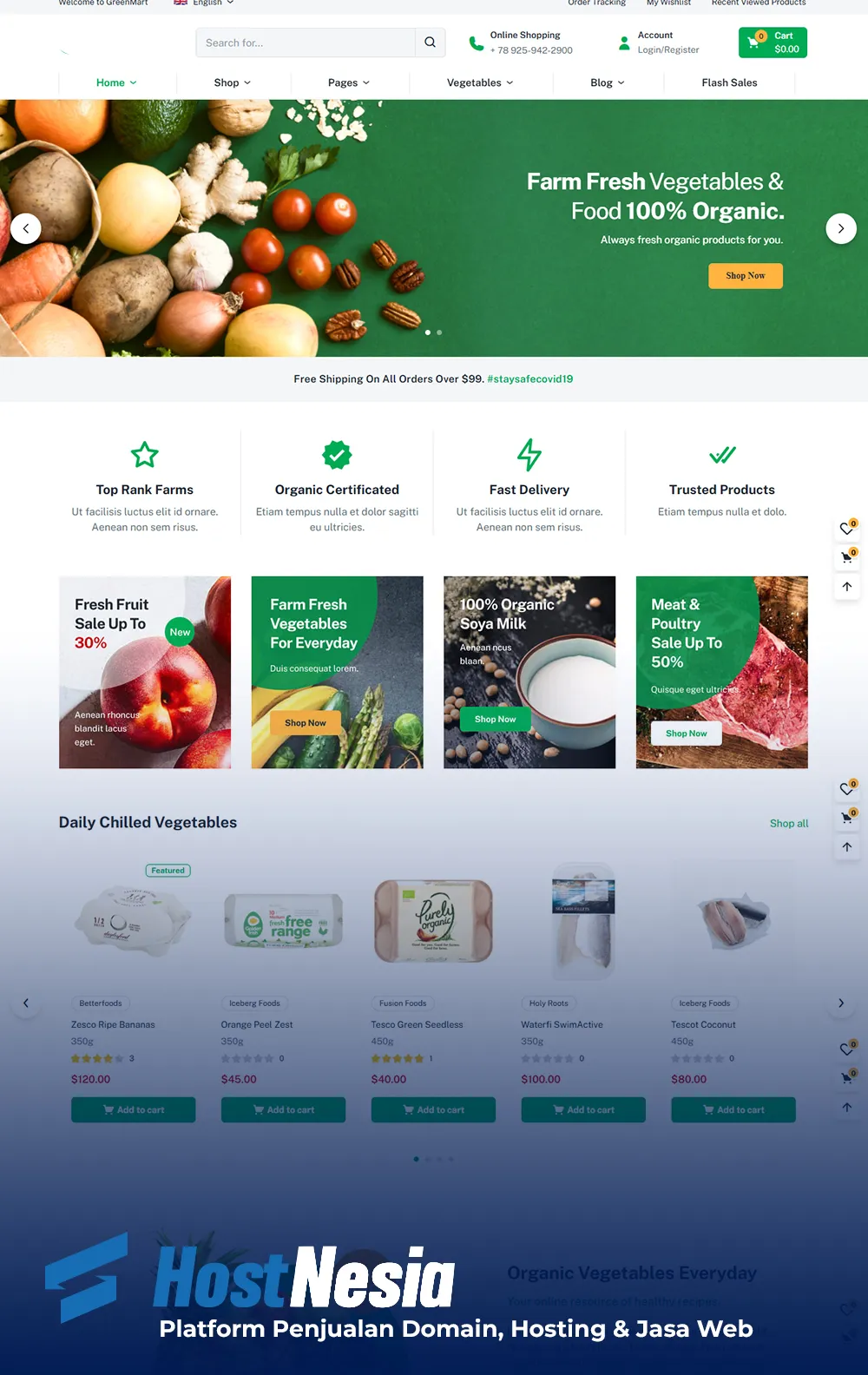 jasa-website-hostnesia 2